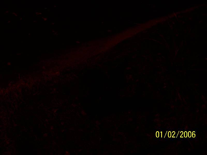 Original image